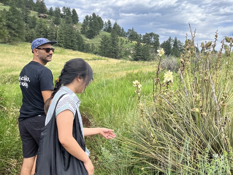 FD13629B-BCEF-4359-B13D-B5D9849B0684