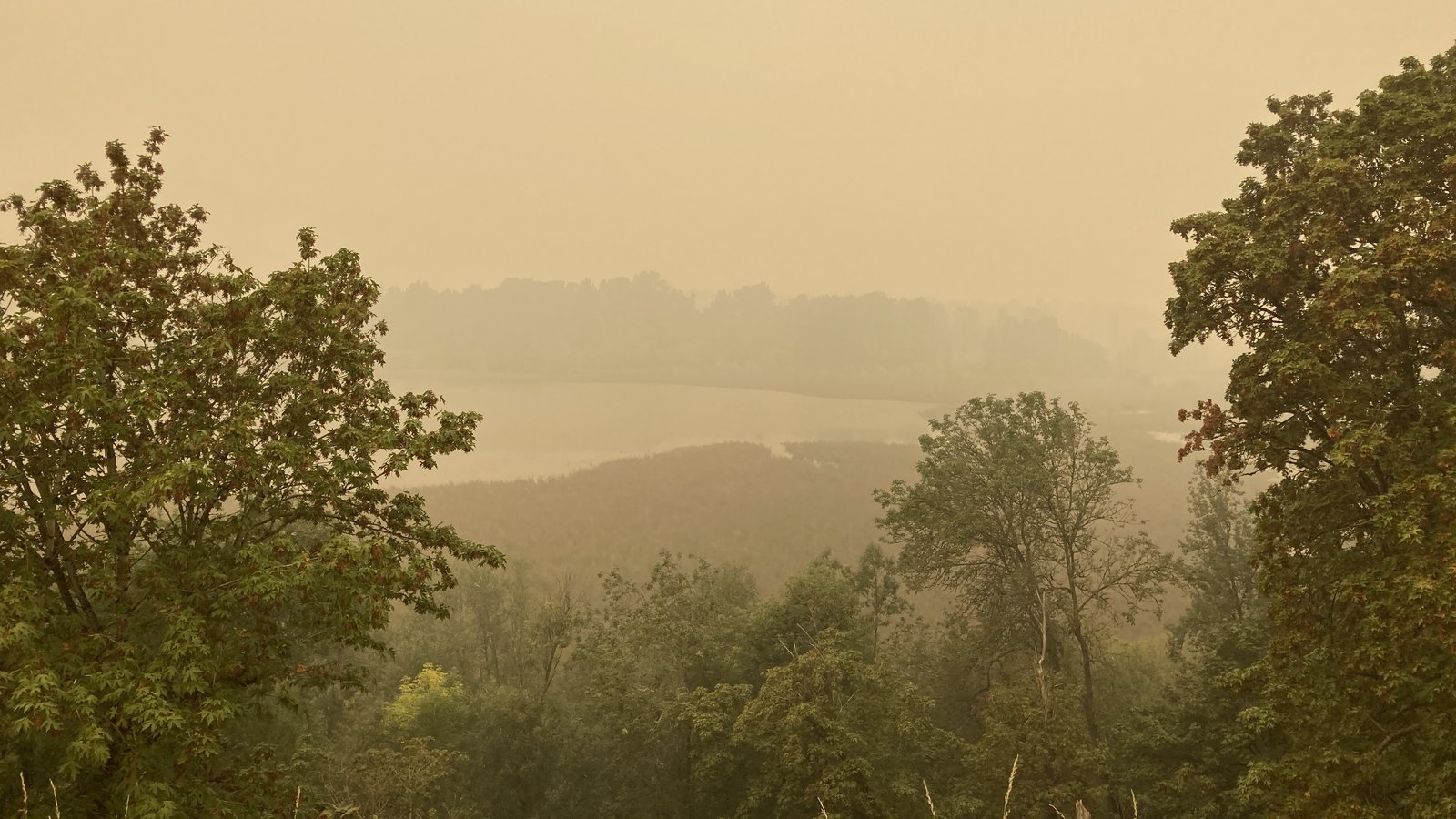 Dense wildfire smoke over Oaks Bottom Wildlife Refuge, Sept. 10, 2020