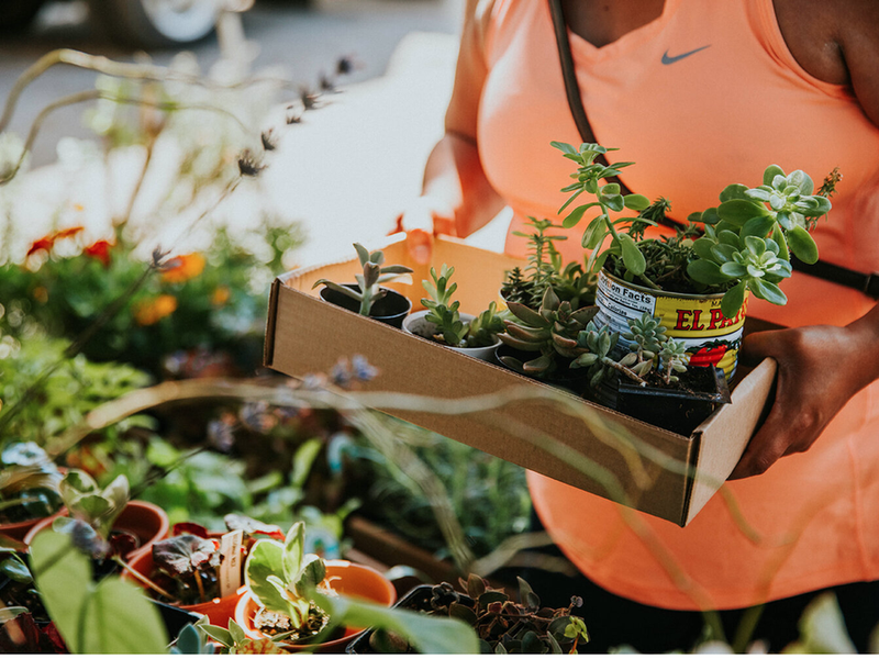 Closeup of woman with potted plants or starts, some in tin cans