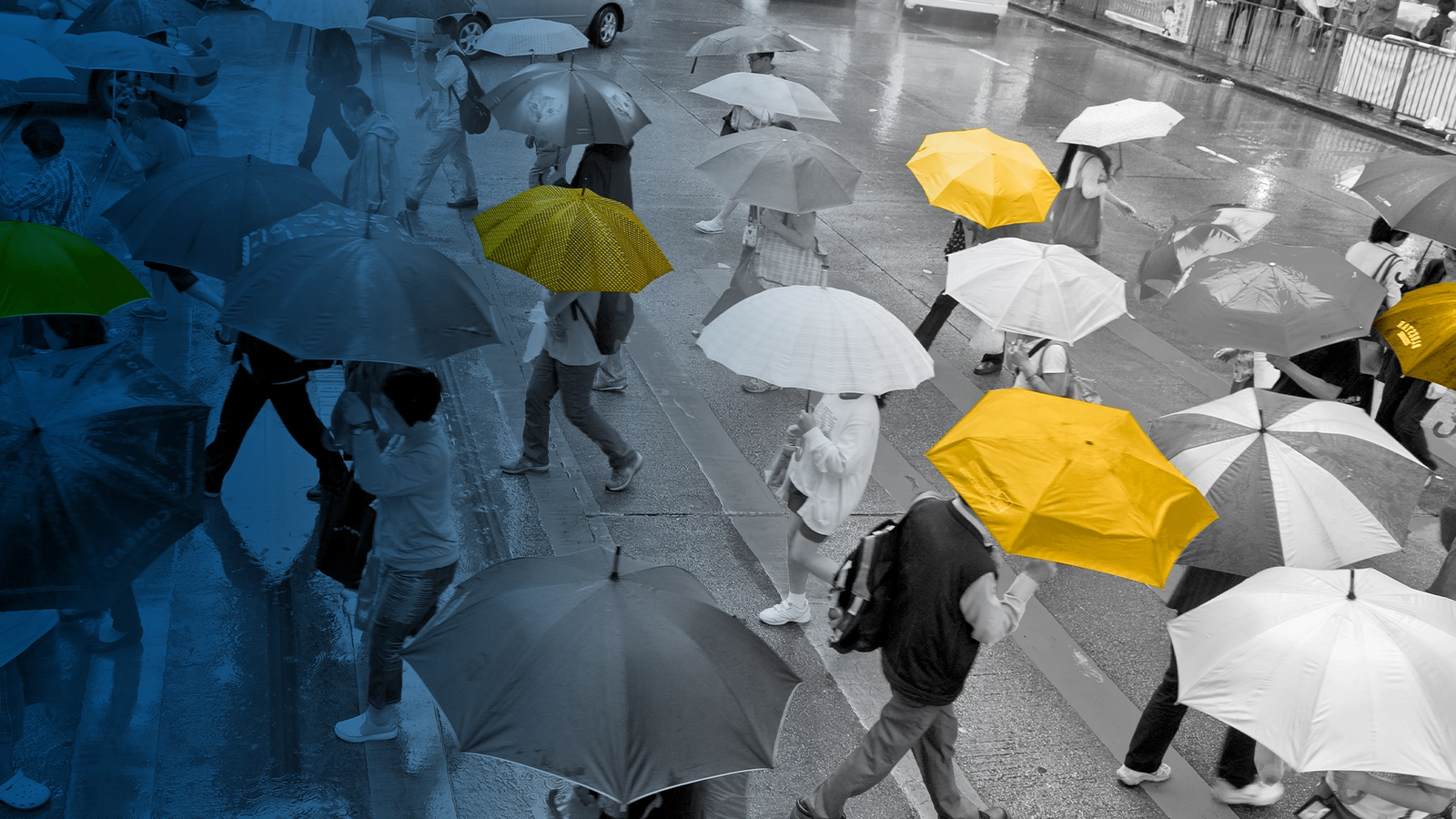 ALICE report header image: color-altered black-and-white photo of a group of people walking in the rain with umbrellas, some of which are bright yellow