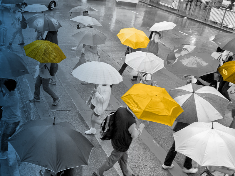 ALICE report header image: color-altered black-and-white photo of a group of people walking in the rain with umbrellas, some of which are bright yellow