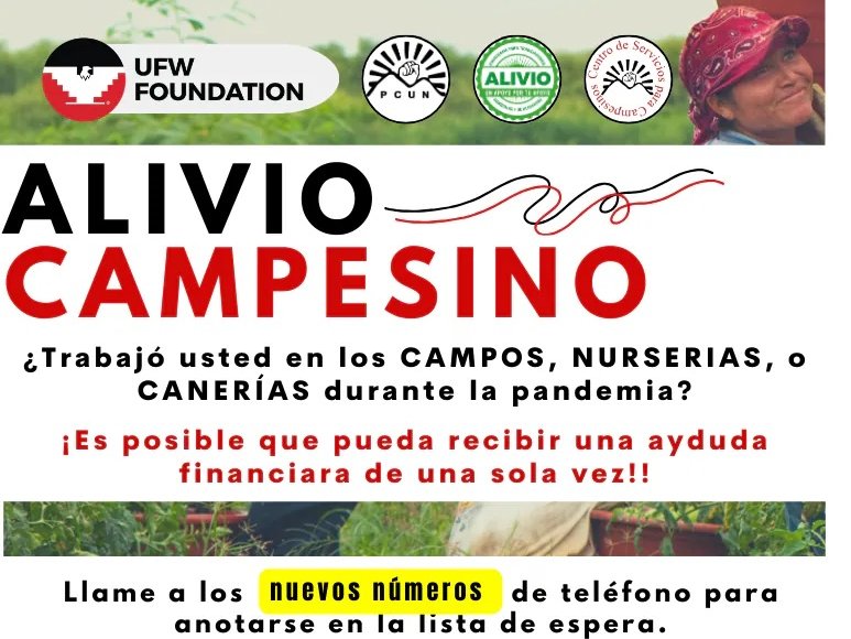 Alivio Campesino (Centro de Servicios)