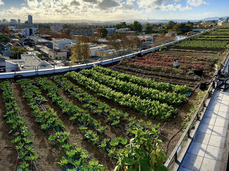 Elevated landscape of a large urban farm