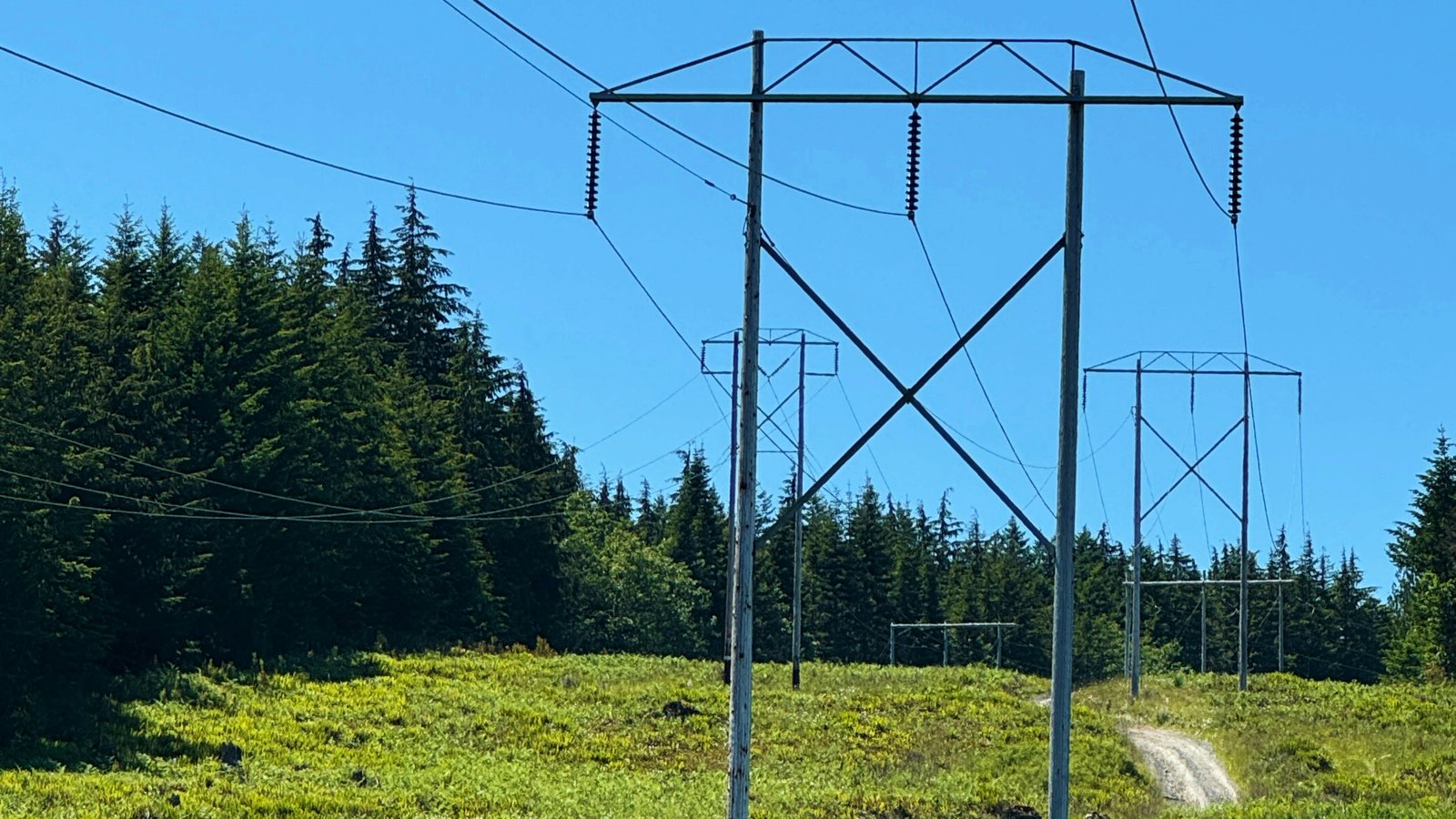 Dirt road running along a power line through a forest