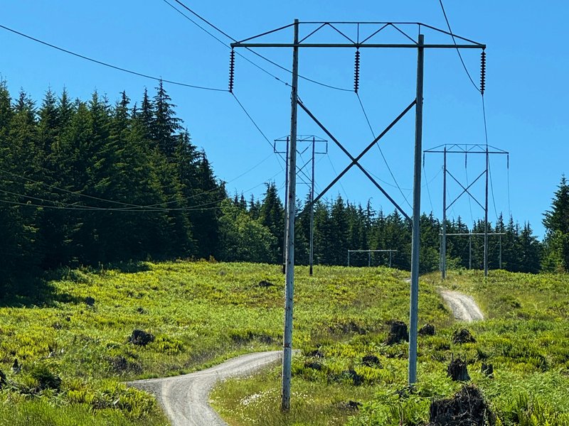 Dirt road running along a power line through a forest