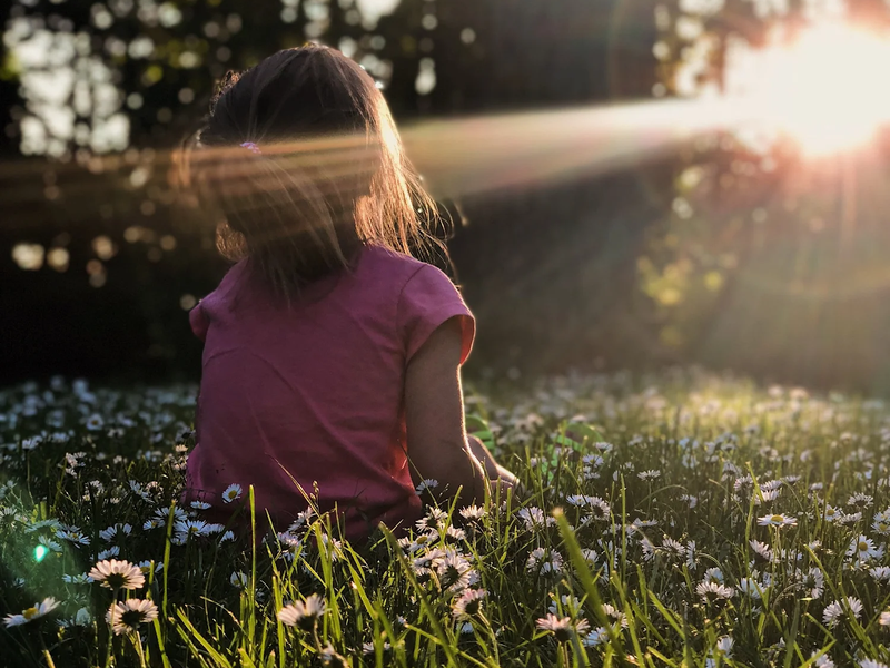 Young girls among daisies in a forest meadow, sunset