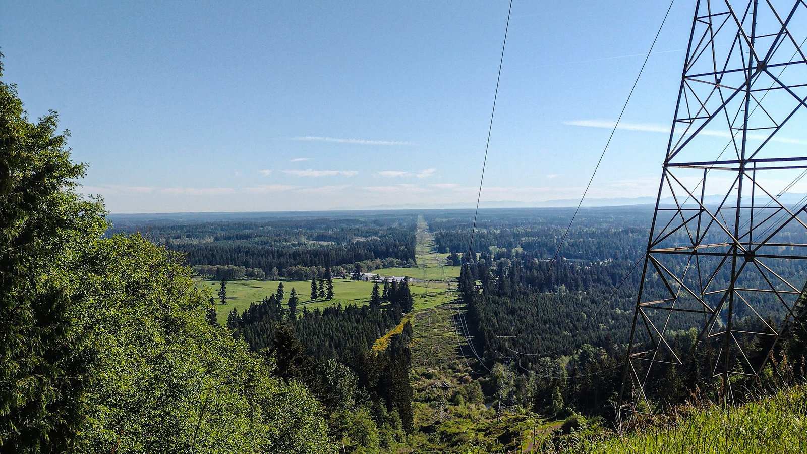 Transmission power lines running down a lightly forested hill