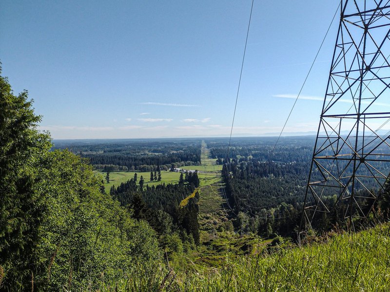 Transmission power lines running down a lightly forested hill