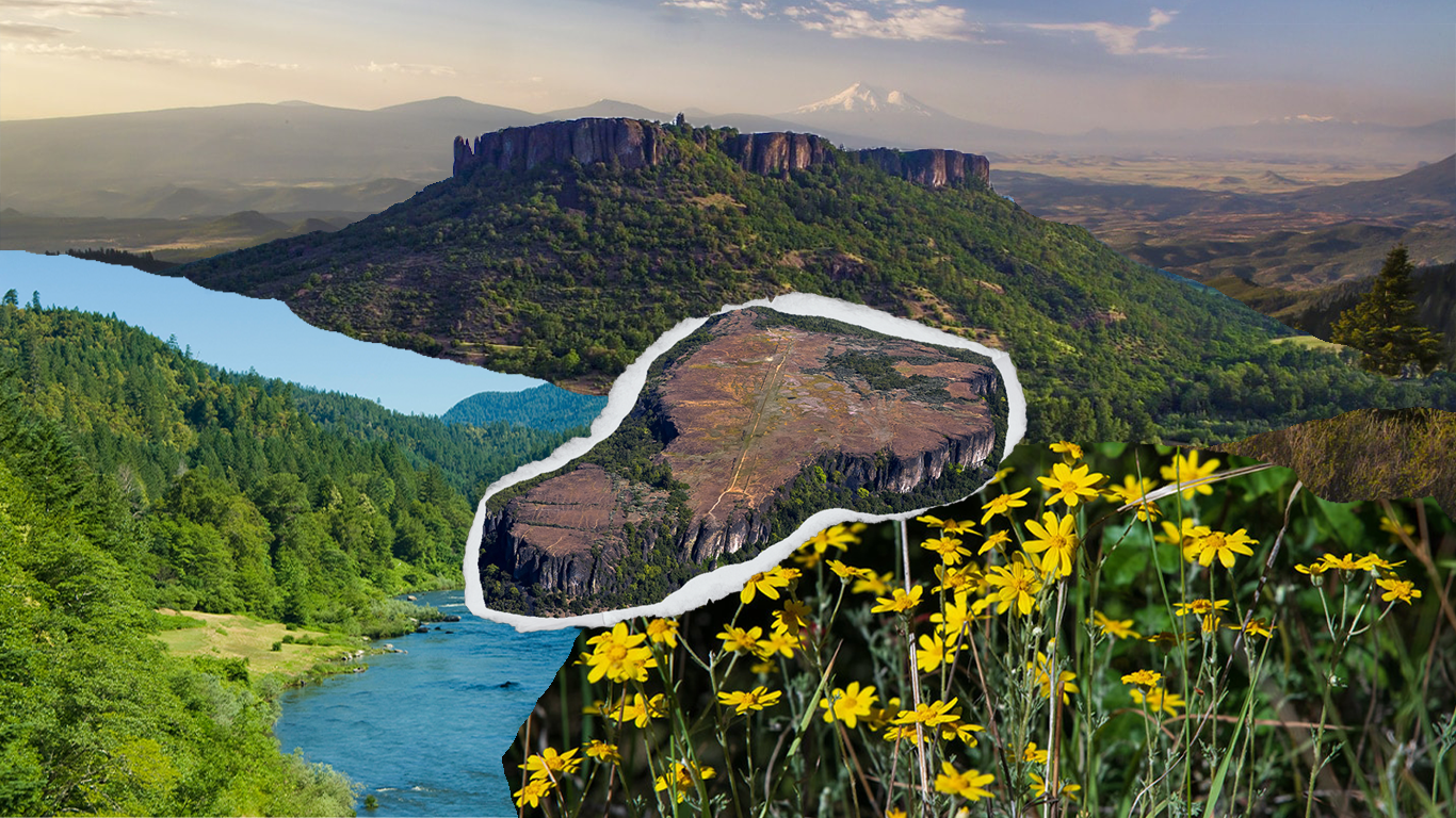 Rogue landscape collage