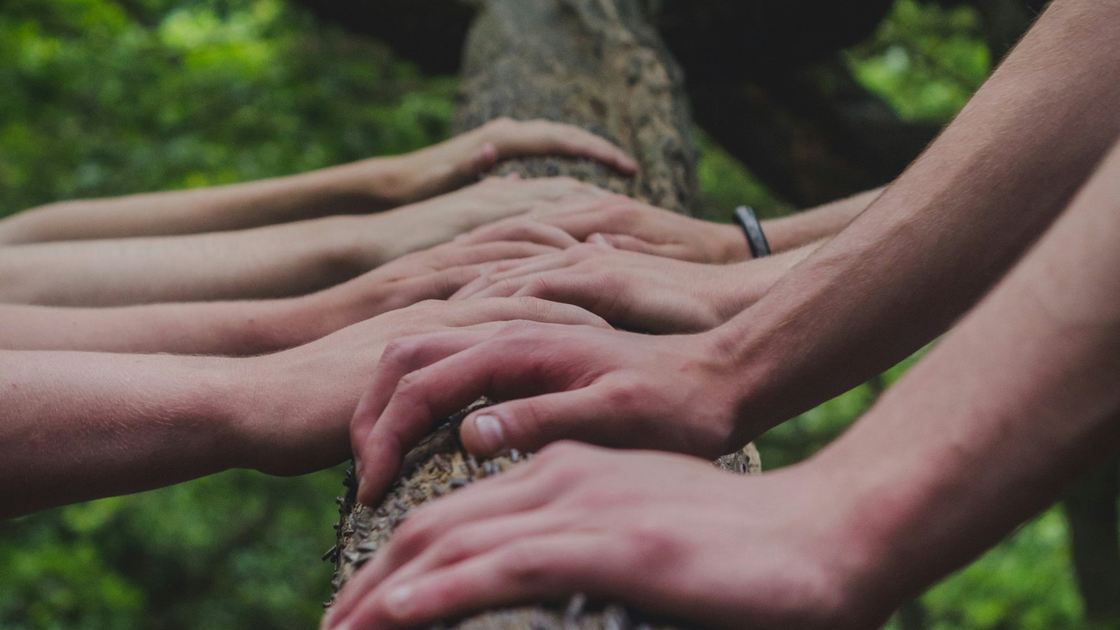 Hands together on the trunk of a small tree