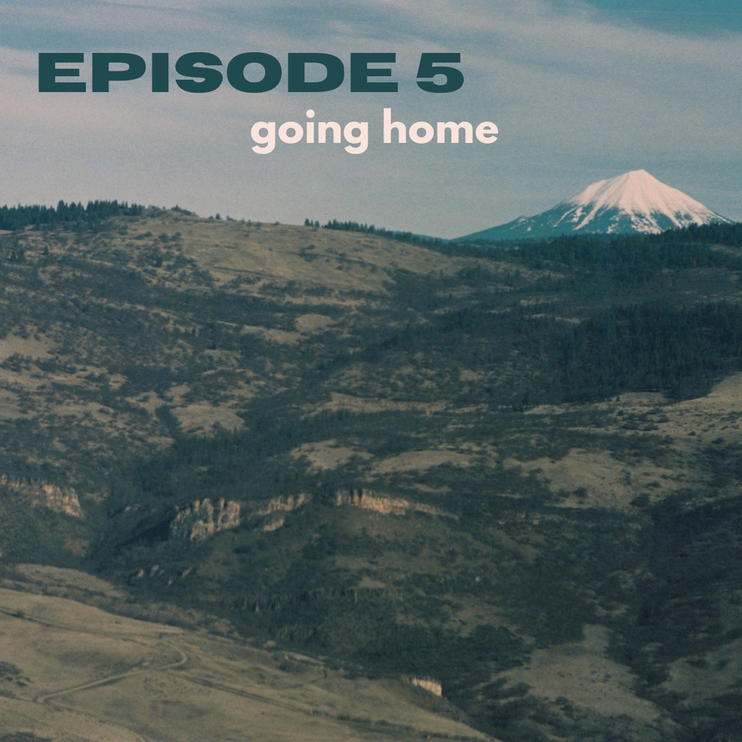 Shaping Ash — episode 5, Going home