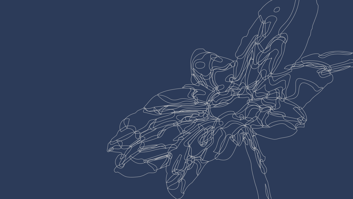 Flower illustration on the cover of Strengthening Disaster Resilience and Justice for Community-Based Organizations in Oregon