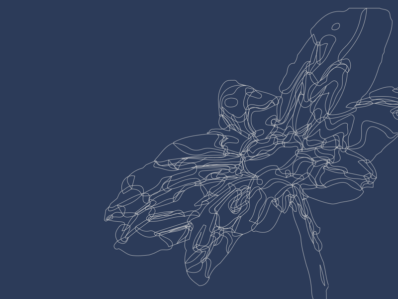 Flower illustration on the cover of Strengthening Disaster Resilience and Justice for Community-Based Organizations in Oregon