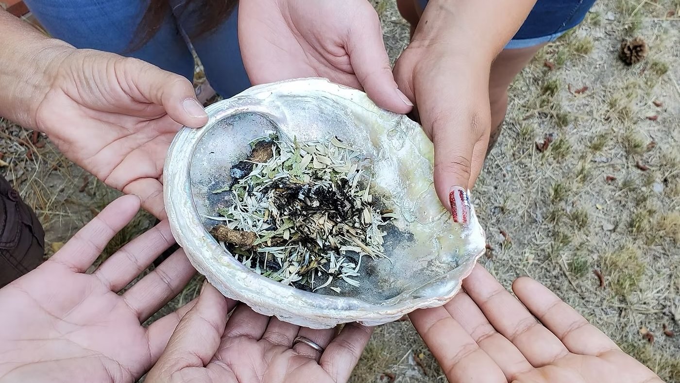 Many native hands holding a smudge pot in an abalone shell