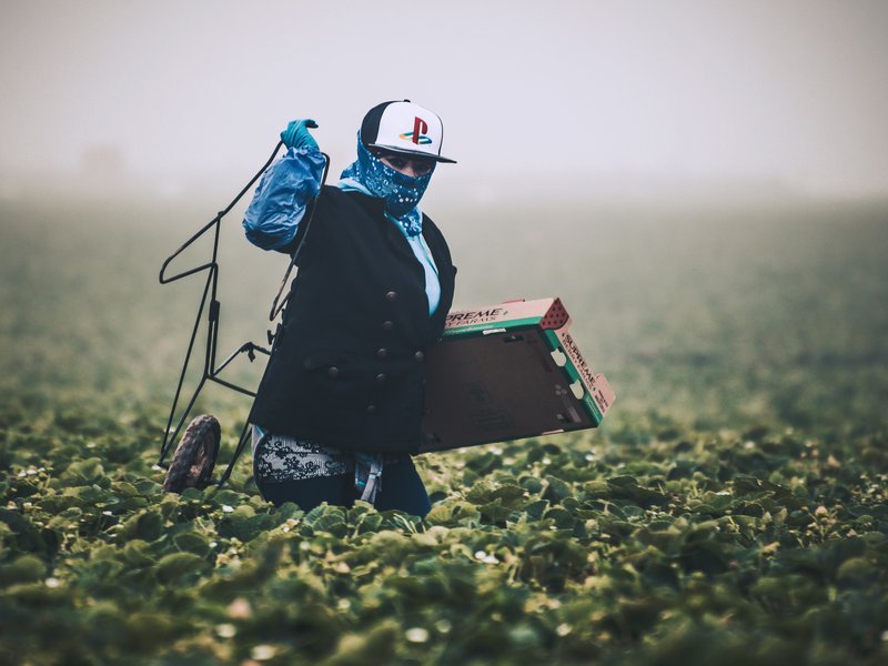 Farm worker wearing a mask, with equipment