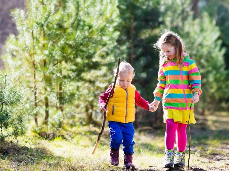 Two young children hiking in a forest