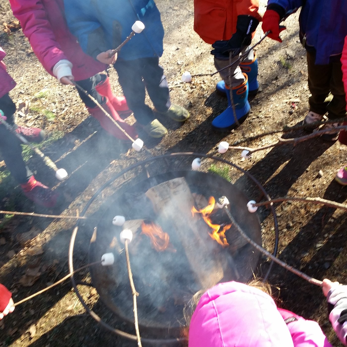 Closeup of marshmallows roasting over a firepit